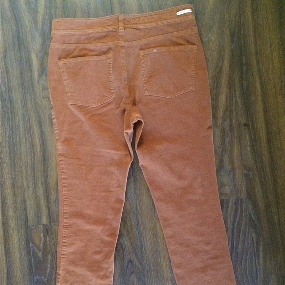 Pilcro and the Letterpress Rusty Corduroy Pants - Picture 6 of 8